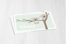 Schattige koalabeertjes Schattige koalabeertjes